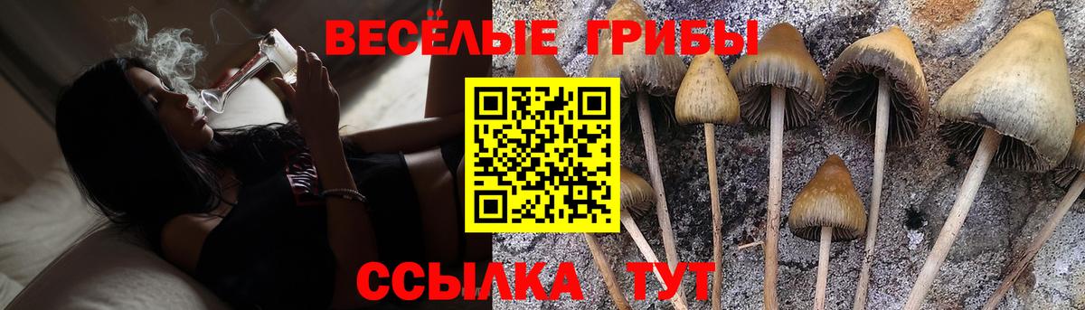 Галлюциногенные грибы MAGIC MUSHROOMS  Галлюциногенные грибы мухоморы  Рязань  Вход с VPN 